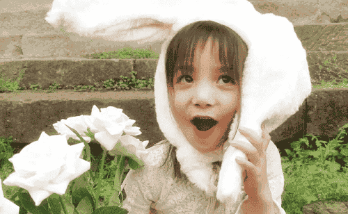 兔年女孩名字寓意好的字有哪些 兔宝宝女孩名字寓意好的字